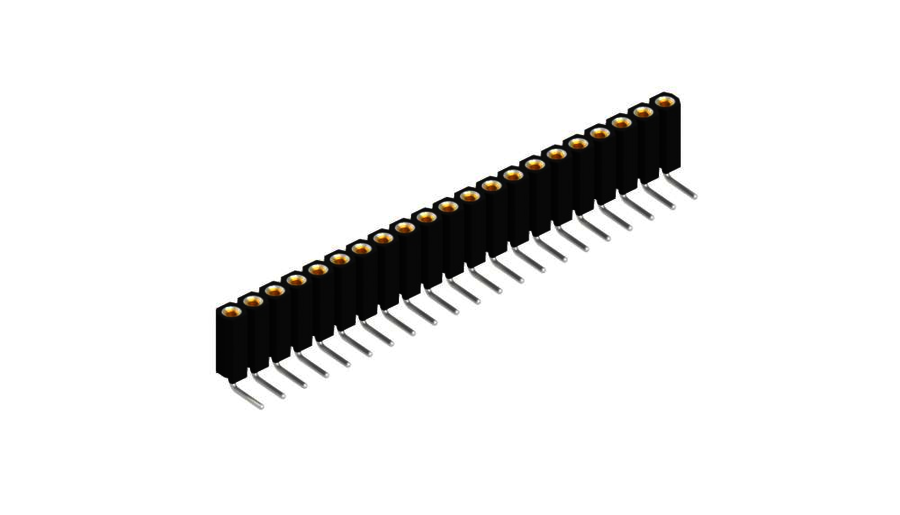 Female headers - BL 7 21