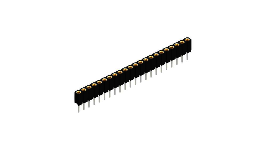 Female headers - BLY 1 22