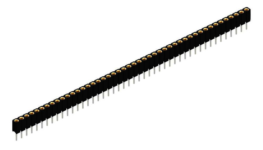 Female headers - BLY 1 46